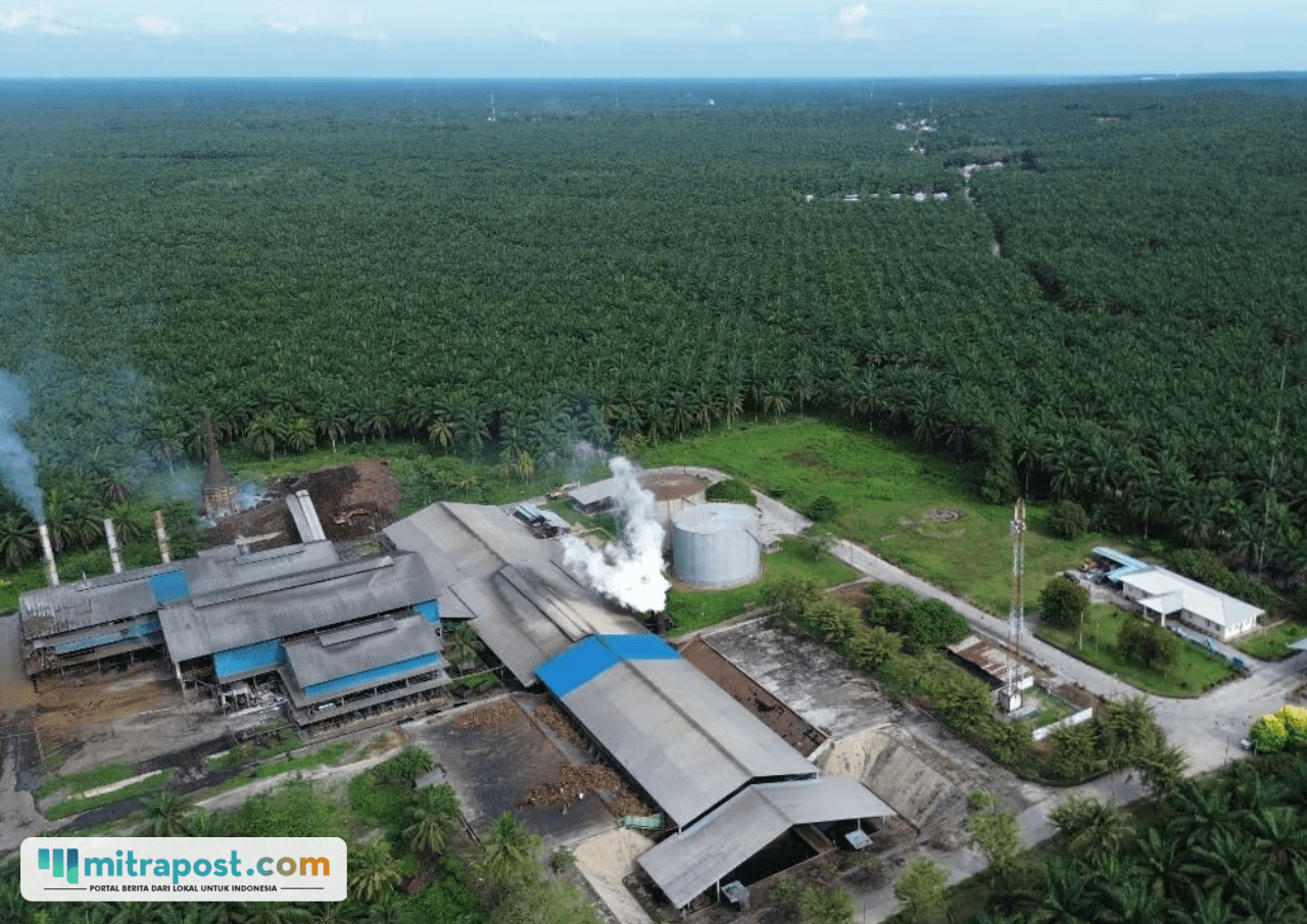 Pastikan Tidak Ada PHK, PT Agrinas Palma Nusantara Justru Buka Lowongan untuk 20 Ribu Pekerja