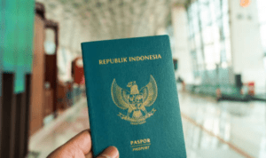 Tidak Ada Pengaruh Kenaikan: 300 WNI Lepas Kewarganegaraan-1.000 Ajukan Naturalisasi