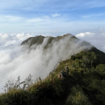 2 Remaja Hilang di Gunung Bismo Sejak Akhir Juni, Basarnas Terjunkan Anjing Pelacak dan Drone