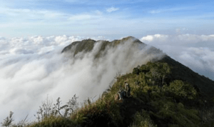 2 Remaja Hilang di Gunung Bismo Sejak Akhir Juni, Basarnas Terjunkan Anjing Pelacak dan Drone