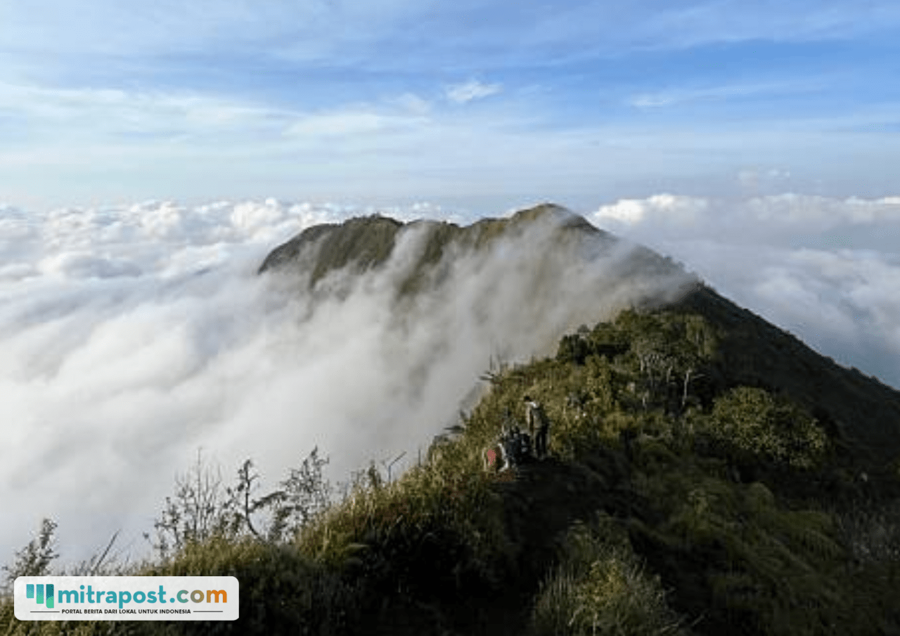 2 Remaja Hilang di Gunung Bismo Sejak Akhir Juni, Basarnas Terjunkan Anjing Pelacak dan Drone