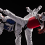 PBTI Akan Jadi Tuan Rumah 8th Asian Taekwondo Indonesia Open Championships 2026