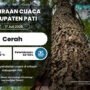 Cuaca Cerah Diperkirakan Terjadi di Wilayah Pati Esok Hari