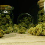 anja Mahasiswa di Medan Nekat Edarkan Ganja ke Teman Kampus, Polisi Masih Buru Pemasok