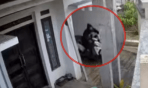 Komplotan Curanmor Beraksi di Bumiaji Kota Batu, Aksinya Terekam CCTV