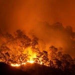 Ilustrasi kebakaran hutan/istock Kebakaran Ponorogo