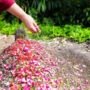 Ilustrasi makam/istock