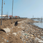 Foto : Kepala Desa Bulumanis Kidul Kecamatan Margoyoso Pati sedang menunjukkan kondisi Pantai Lestari di wilayahnya, Jumat (24/07/2026). (Sumber. Mitrapost.com/ Ilham)