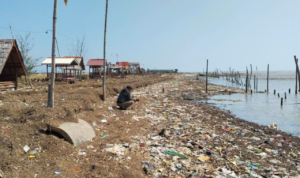 Foto : Kepala Desa Bulumanis Kidul Kecamatan Margoyoso Pati sedang menunjukkan kondisi Pantai Lestari di wilayahnya, Jumat (24/07/2026). (Sumber. Mitrapost.com/ Ilham)