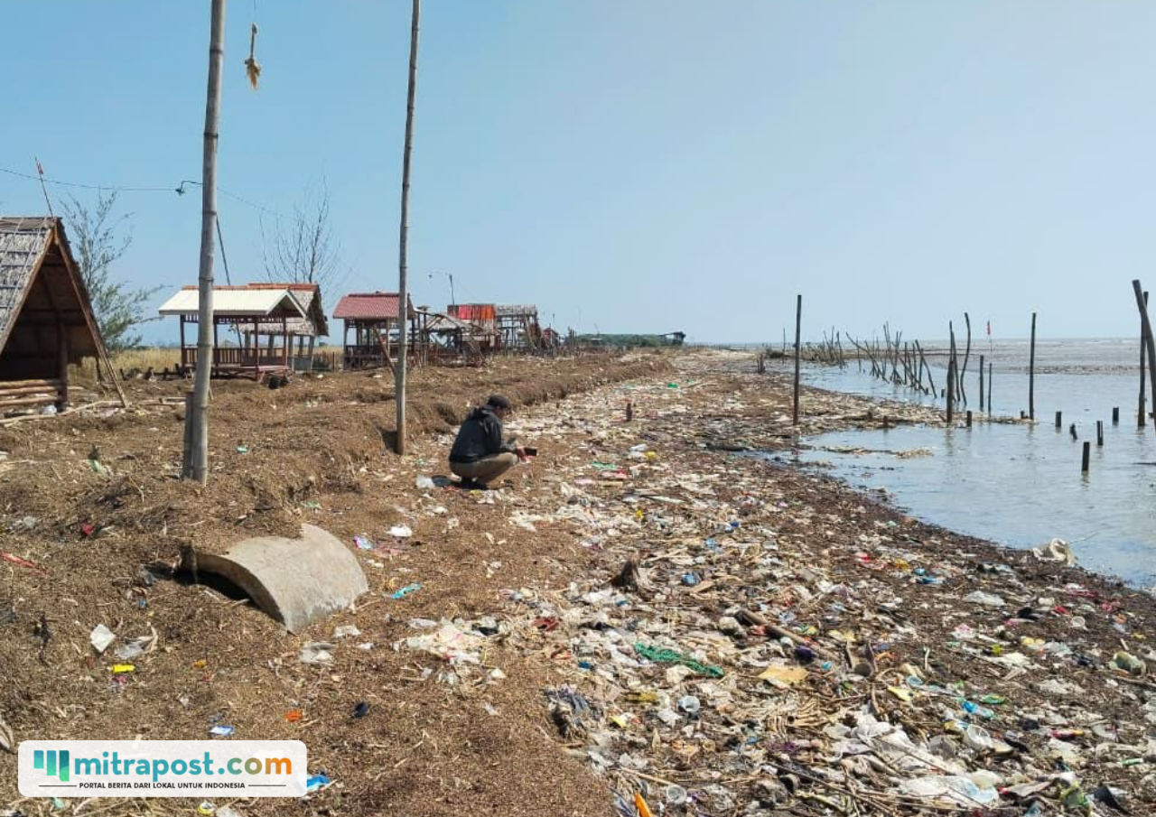Foto : Kepala Desa Bulumanis Kidul Kecamatan Margoyoso Pati sedang menunjukkan kondisi Pantai Lestari di wilayahnya, Jumat (24/07/2026). (Sumber. Mitrapost.com/ Ilham)