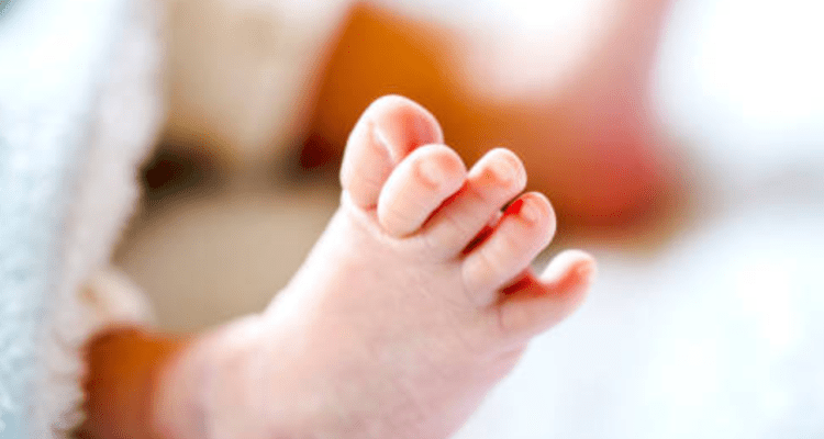 Motif Kasus Penculikan Bayi 2 Tahun di Makassar karena Utang Arisan Online
