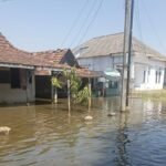 Foto : Kondisi banjir rob di Desa Tunggulsari, Kecamatan Tayu Pati, Kamis (16/07/2026). (Dok. Pemdes Tunggulsari) Foto : Kondisi banjir rob di Desa Tunggulsari, Kecamatan Tayu Pati, Kamis (16/07/2026). (Dok. Pemdes Tunggulsari)
