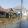 Foto : Kondisi banjir rob di Desa Tunggulsari, Kecamatan Tayu Pati, Kamis (16/07/2026). (Dok. Pemdes Tunggulsari)