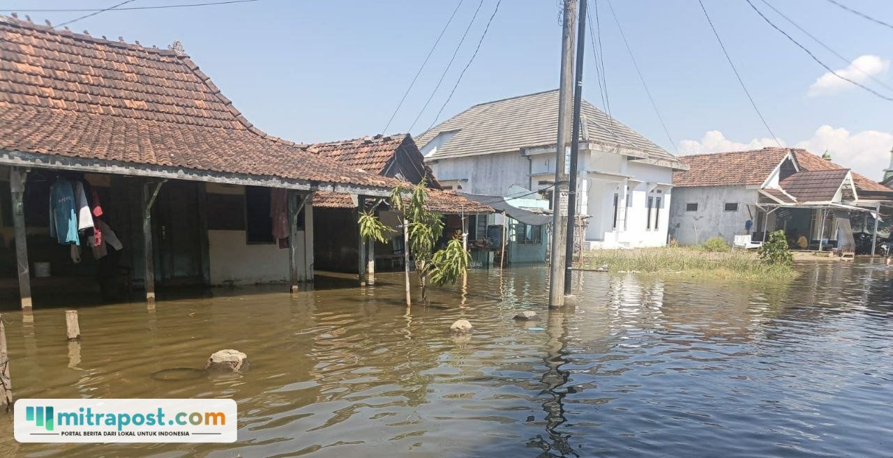 Foto : Kondisi banjir rob di Desa Tunggulsari, Kecamatan Tayu Pati, Kamis (16/07/2026). (Dok. Pemdes Tunggulsari)