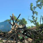 Foto : Truk Boks Kontainer Tertimpa Pohon di Jalan Pantura Batangan Pati. (Dok. Polsek Batangan Pati)