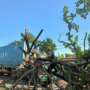 Foto : Truk Boks Kontainer Tertimpa Pohon di Jalan Pantura Batangan Pati. (Dok. Polsek Batangan Pati)