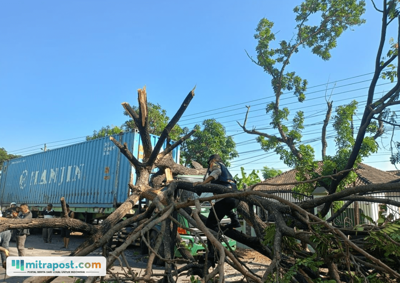 Foto : Truk Boks Kontainer Tertimpa Pohon di Jalan Pantura Batangan Pati. (Dok. Polsek Batangan Pati)