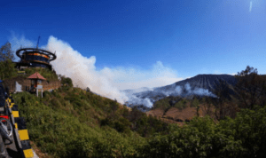Kebakaran Hutan di Gunung Bromo Kawasan Bromo Kembali Alami Kebakaran Hutan, Nyaris Merambat ke Puncak B29