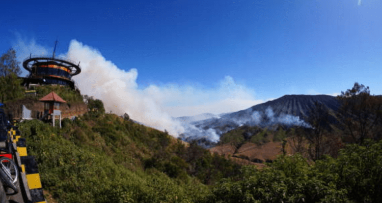 Kebakaran Hutan di Gunung Bromo Kawasan Bromo Kembali Alami Kebakaran Hutan, Nyaris Merambat ke Puncak B29