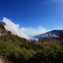 Kawasan Bromo Kembali Alami Kebakaran Hutan, Nyaris Merambat ke Puncak B29