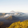 Kepala BNPB: Penanganan Kebakaran Hutan di Gunung Bromo Terkendala Cuaca