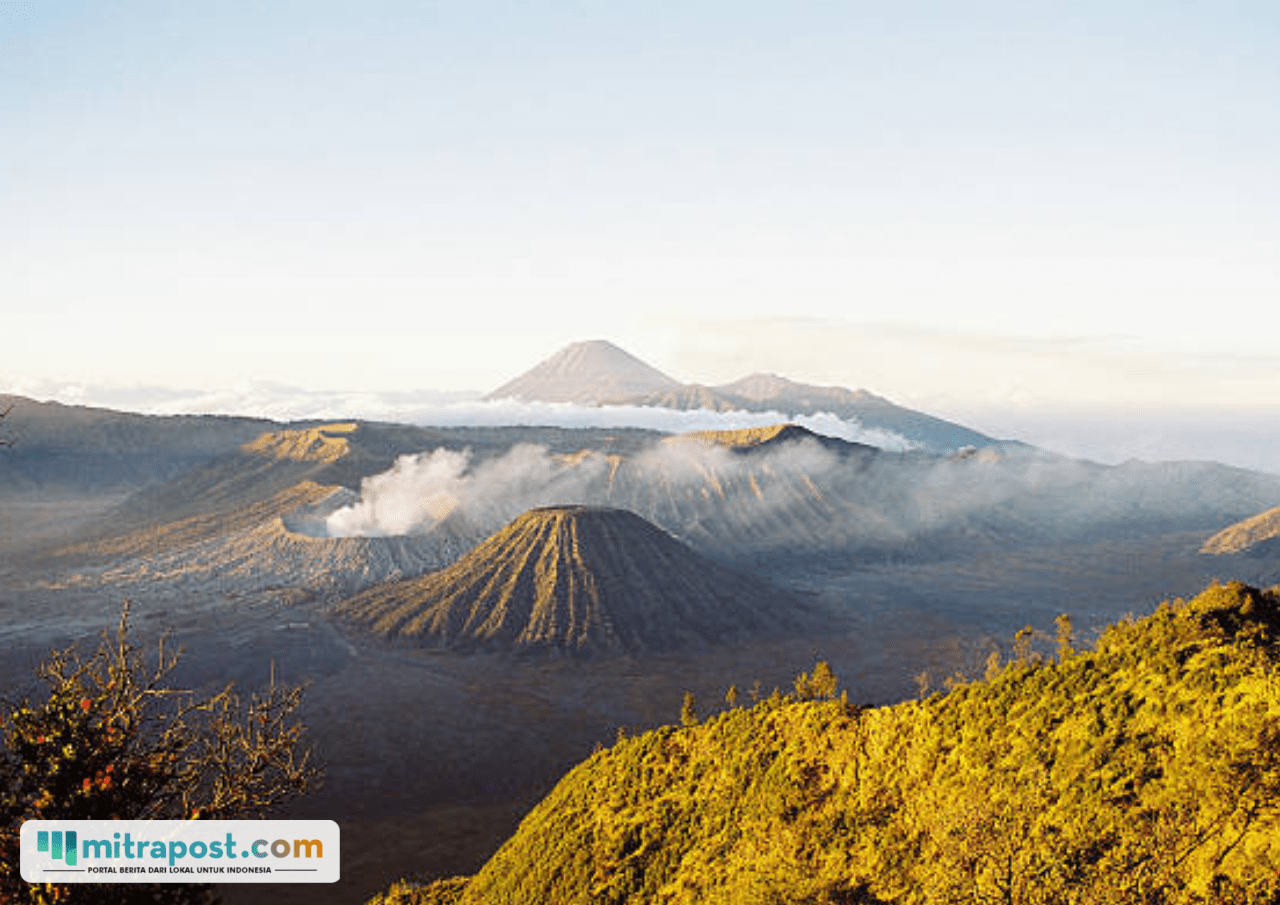 Kepala BNPB: Penanganan Kebakaran Hutan di Gunung Bromo Terkendala Cuaca