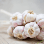 90% Kebutuhan Nasional Masih dari Impor, Kemenko Pangan Perkuat Produksi Bawang Putih