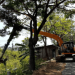 Alat berat jenis excavator saat melakukan pengerukan di sungai simo Kecamatan Juwana Foto : Alat berat jenis excavator saat melakukan pengerukan di sungai simo Kecamatan Juwana, belum lama ini. (Dok. DPUTR Kabupaten Pati)