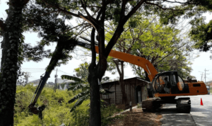 Alat berat jenis excavator saat melakukan pengerukan di sungai simo Kecamatan Juwana Foto : Alat berat jenis excavator saat melakukan pengerukan di sungai simo Kecamatan Juwana, belum lama ini. (Dok. DPUTR Kabupaten Pati)