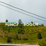 Ilustrasi Puncak Bogor Walhi Soroti Perusahaan di Kawasan Ekowisata Puncak Bogor yang Akan Kembali Beroperasi