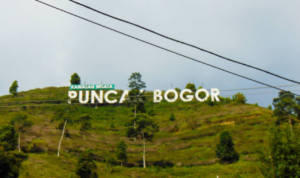 Walhi Soroti Perusahaan di Kawasan Ekowisata Puncak Bogor yang Akan Kembali Beroperasi