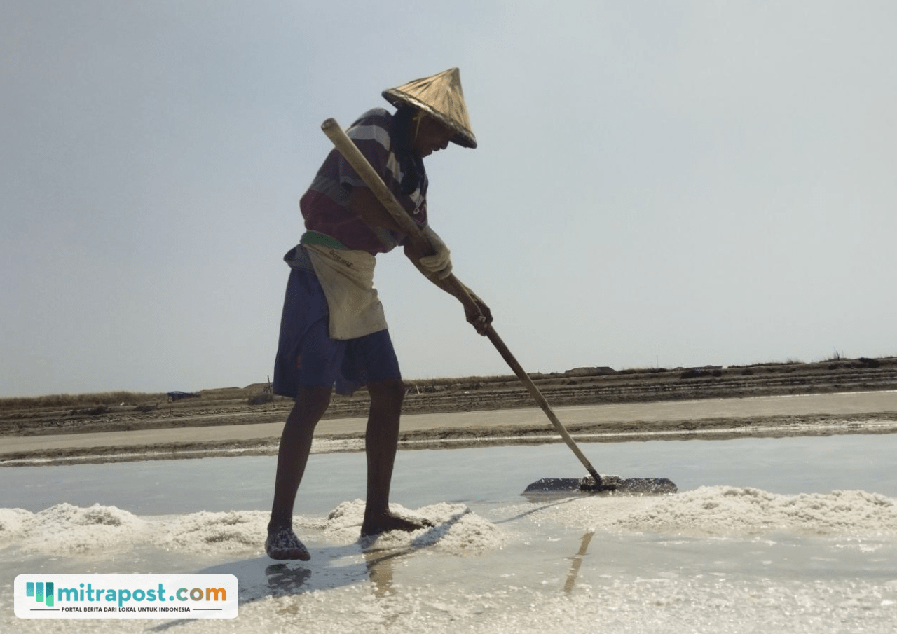 Foto : Petambak garam panen raya di Kecamatan Batangan Kabupaten Pati, belum lama ini. (Sumber. Mitrapost.com/ Ilham)