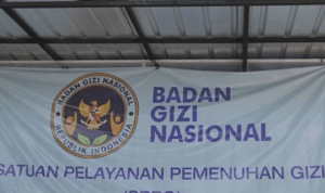 Kepala BGN: Keracunan MBG di Karo Diduga Akibat Ratusan Ikan Tidak Masuk Freezer 12 Jam