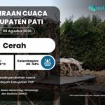 PRAKIRAAN CUACA 08 AGUSTUS Cuaca Pati Diprediksi Cerah Esok Hari, Potensi Hujan Lokal Masih Ada