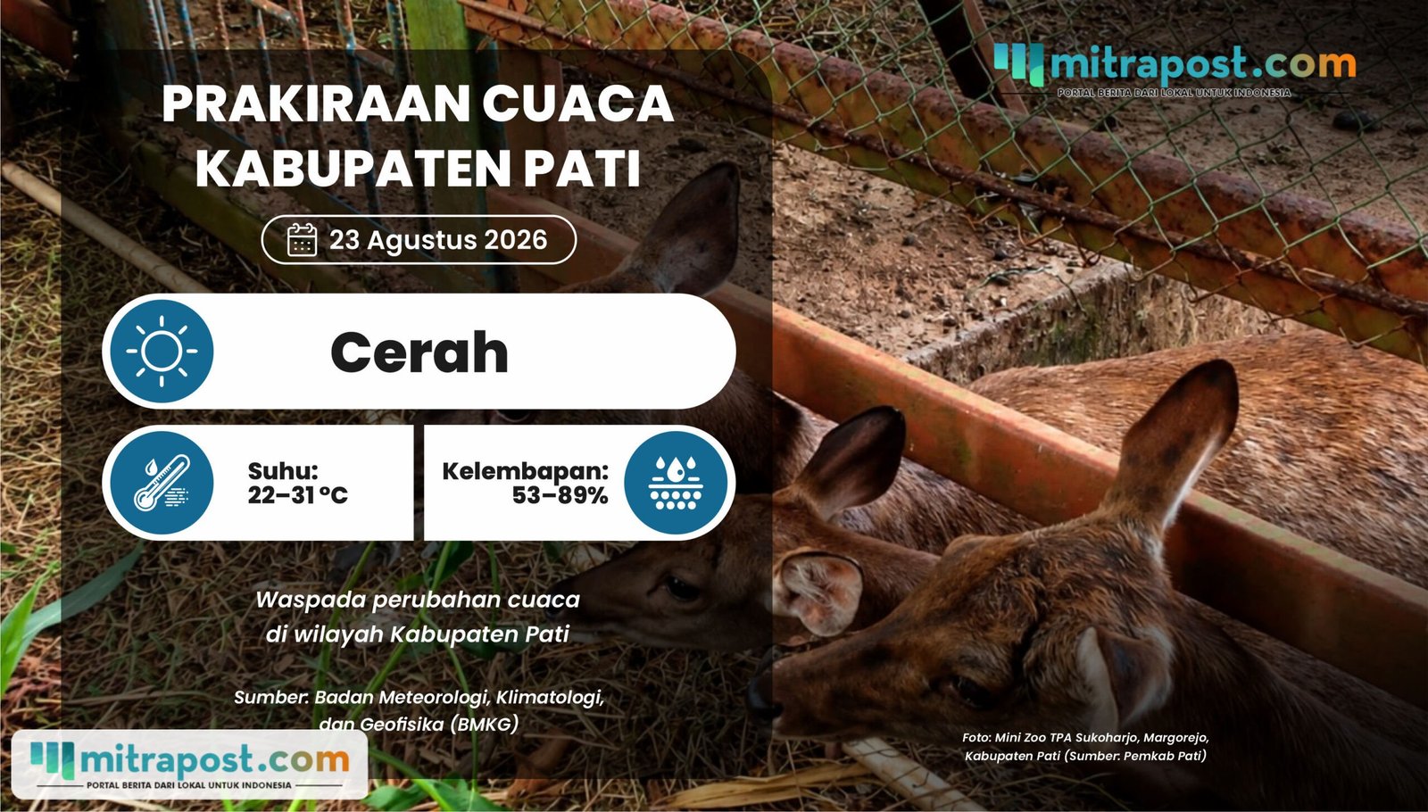 Cuaca di Pati Esok Hari Diprediksi Cerah, Masih Dominan Panas