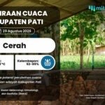Cuaca di Pati Esok Hari Diprediksi Cerah, Waspada Suhu Panas Saat Siang Hari