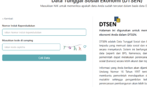 Laman Data Tunggal Sosial Ekonomi (DTSEN)/tangkap layar