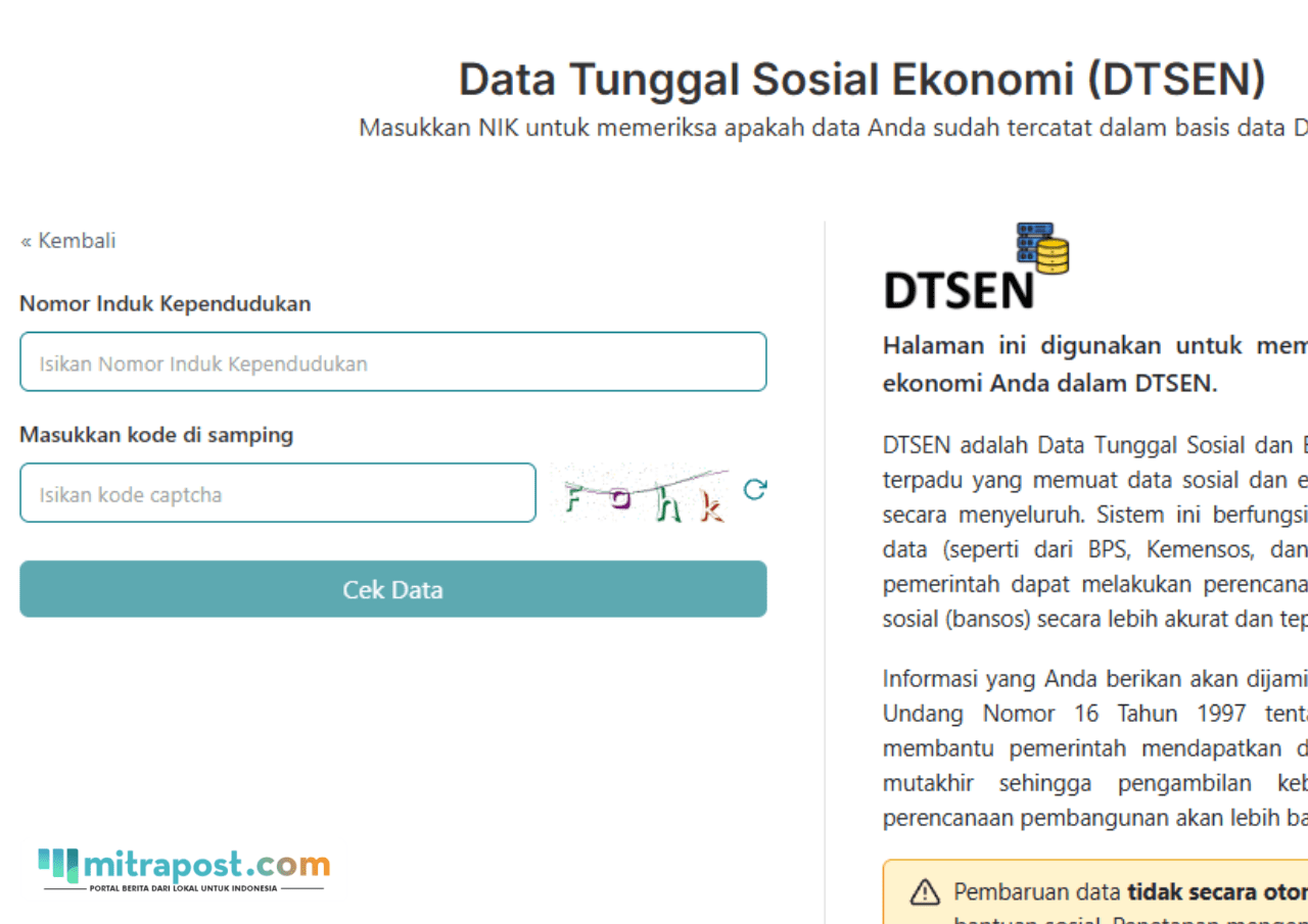 Laman Data Tunggal Sosial Ekonomi (DTSEN)/tangkap layar