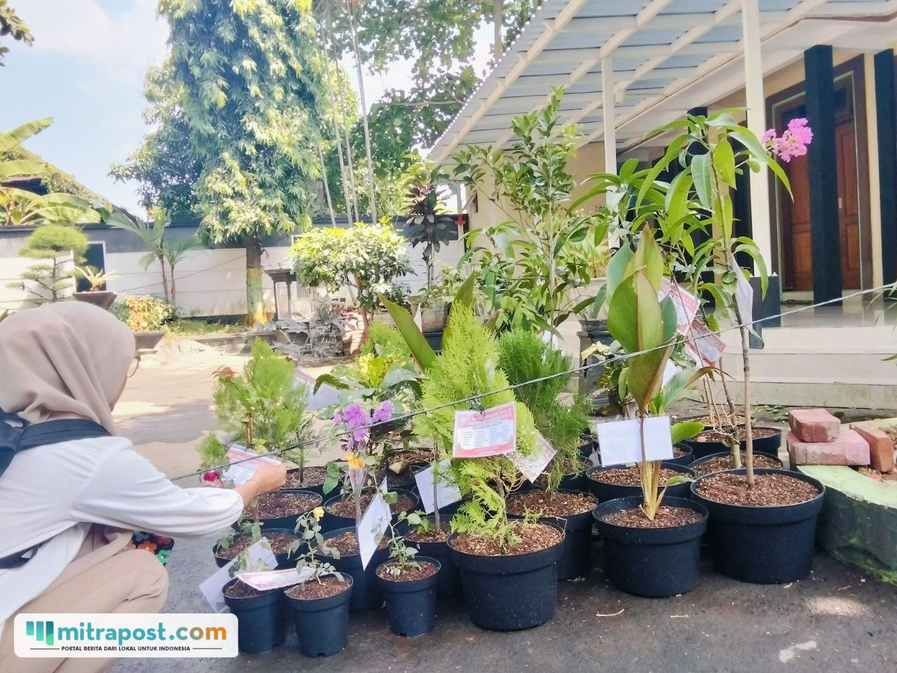 Foto : Berbagai bibit tanaman di sebelah kiri Pendopo Kabupaten Pati. (Sumber. Mitrapost.com/ Ilham) Karangan Bunga