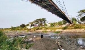 Foto : Kondisi sungai Silugonggo di desa Sugiharjo Kecamatan Pati, Kabupaten Pati. (Sumber. Mitrapost.com/ Ilham)