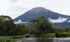 Cegah Karhutla, 3 Jalur Pendakian di Jambi Termasuk Gunung Kerinci Ditutup Sementara