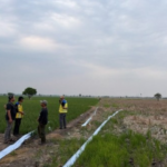 Terima Laporan Fiktif, Menteri PU Sidak Lahan Sawah di Bekasi yang Alami Kekeringan hingga 7 Bulan