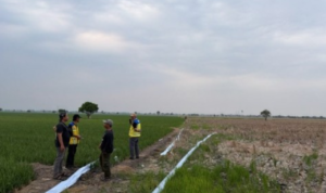 Menteri PU Sidak Lahan Sawah di Bekasi yang Alami Kekeringan hingga 7 Bulan Terima Laporan Fiktif, Menteri PU Sidak Lahan Sawah di Bekasi yang Alami Kekeringan hingga 7 Bulan