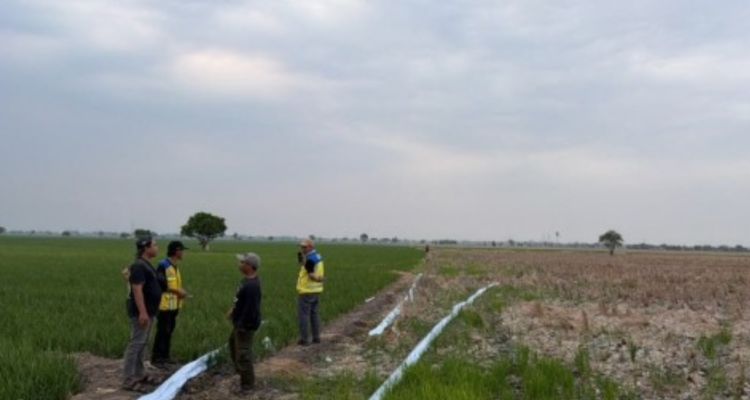 Menteri PU Sidak Lahan Sawah di Bekasi yang Alami Kekeringan hingga 7 Bulan Terima Laporan Fiktif, Menteri PU Sidak Lahan Sawah di Bekasi yang Alami Kekeringan hingga 7 Bulan