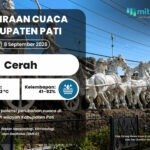 Potensi Perubahan Cuaca di Pati, Senin 8 September 2026: Cerah Menyeluruh
