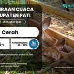 Prakiraan Cuaca 1 Oktober: Pati Cerah, Tapi Ada Potensi Gelombang Tinggi di Jateng Prakiraan Cuaca 1 Oktober: Pati Cerah, Tapi Ada Potensi Gelombang Tinggi di Jateng