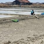Foto : Kondisi tambak garam di Desa Ketitangwetan, Kecamatan Batangan. (Sumber. Mitrapost.com/ Ilham)