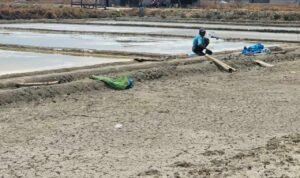 Foto : Kondisi tambak garam di Desa Ketitangwetan, Kecamatan Batangan. (Sumber. Mitrapost.com/ Ilham)