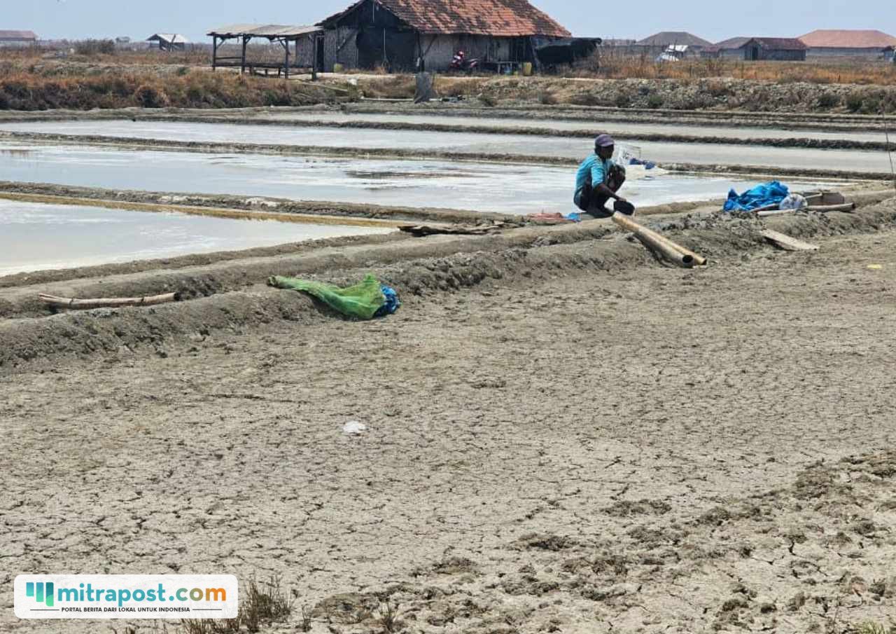 Foto : Kondisi tambak garam di Desa Ketitangwetan, Kecamatan Batangan. (Sumber. Mitrapost.com/ Ilham)
