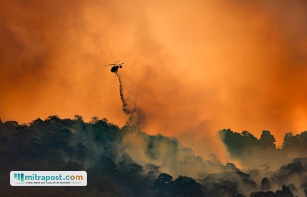 Ilustrasi kebakaran/istock Karhutla